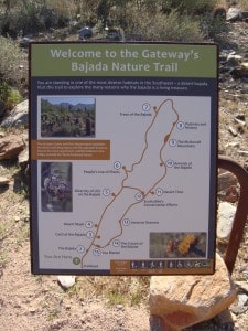 Bajada Loop McDowell Sonoran Preserve Scottsdale AZ