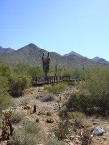 Hike the Mc Dowell Sonoran Preserve Scottsdale AZ