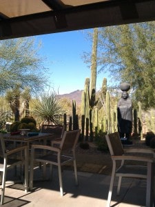 Carefree Black Mountain Views from Heard North Scottsdale 