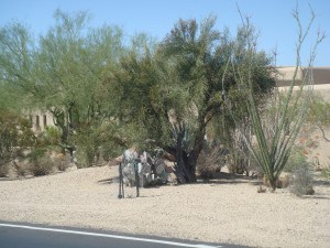 Scottsdale desert landscape privacy fence