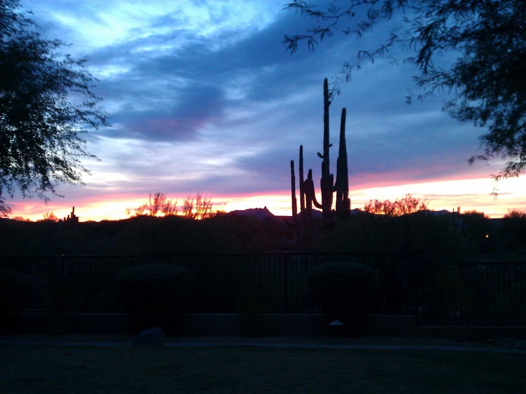 Dawn in Scottsdale AZ