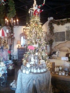 Santa tree Scottsdale AZ