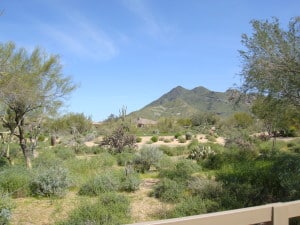 Terravita Scottsdale AZ Homes for Sale