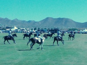 Scottsdale Polo Match 2013